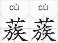 蔟蔟的拼音