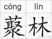 藂林的拼音