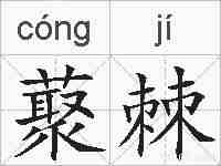 藂棘的拼音