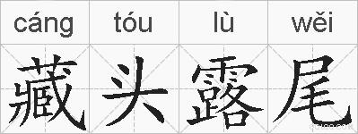 藏头露尾的拼音