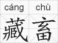 藏畜的拼音