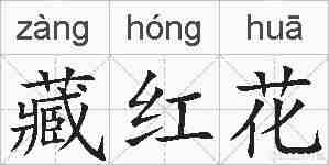 藏红花的拼音