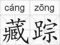 藏踪的拼音