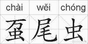 虿尾虫的拼音