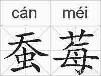 蚕莓的拼音