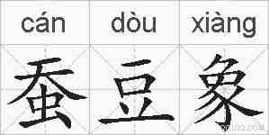 蚕豆象的拼音