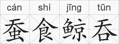 蚕食鲸吞的拼音