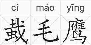蛓毛鹰的拼音