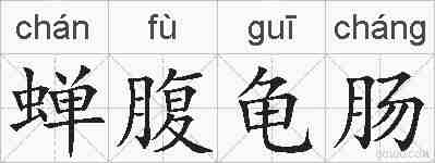 蝉腹龟肠的拼音
