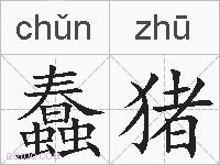 蠢猪的拼音