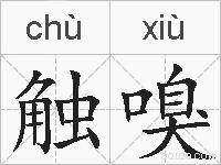 触嗅的拼音