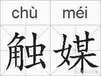 触媒的拼音