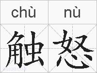触怒的拼音