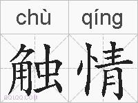 触情的拼音