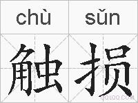 触损的拼音