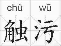 触污的拼音