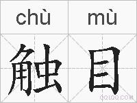 触目的拼音