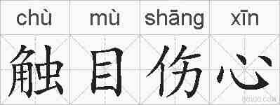 触目伤心的拼音