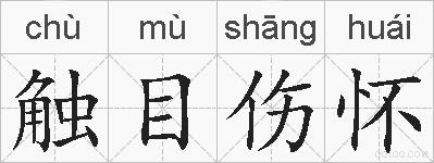 触目伤怀的拼音