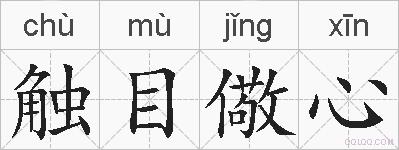 触目儆心的拼音