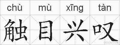 触目兴叹的拼音