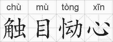 触目恸心的拼音