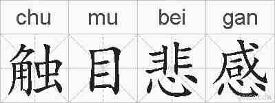 触目悲感的拼音