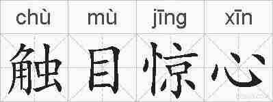 触目惊心的拼音