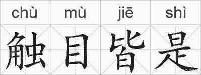 触目皆是的拼音