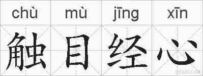触目经心的拼音