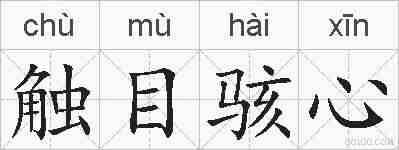 触目骇心的拼音