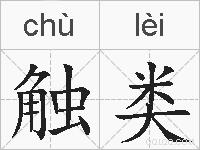 触类的拼音