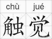触觉的拼音