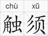 触须的拼音
