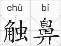 触鼻的拼音