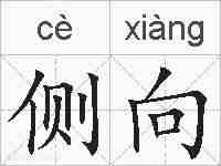 侧向的拼音