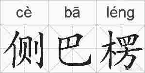 侧巴楞的拼音
