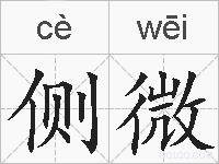 侧微的拼音