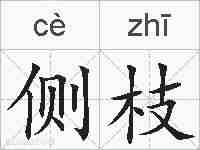 侧枝的拼音