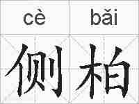 侧柏的拼音