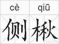 侧楸的拼音