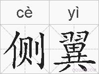 侧翼的拼音