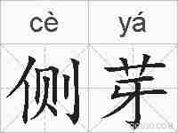 侧芽的拼音