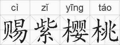 赐紫樱桃的拼音