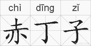 赤丁子的拼音