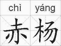 赤杨的拼音