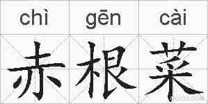 赤根菜的拼音