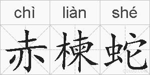 赤楝蛇的拼音