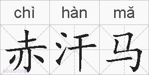 赤汗马的拼音