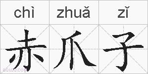 赤爪子的拼音